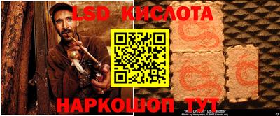 ПСИЛОЦИБИНОВЫЕ ГРИБЫ Кингисепп