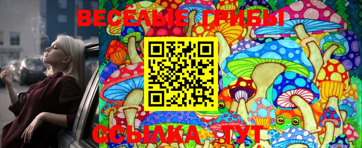 Канаш  Псилоцибиновые грибы Psilocybine cubensis  Вход с VPN 